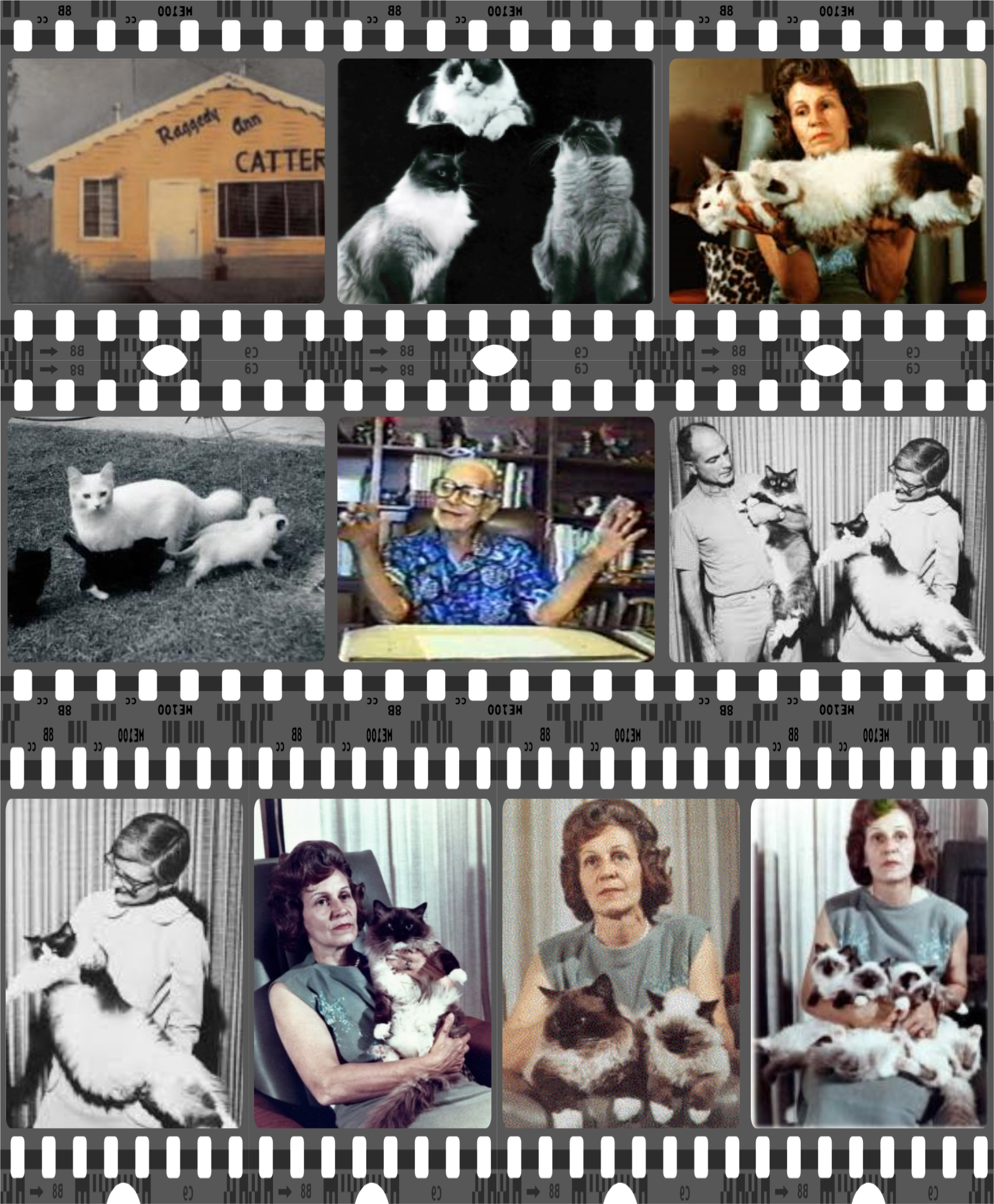 History Page